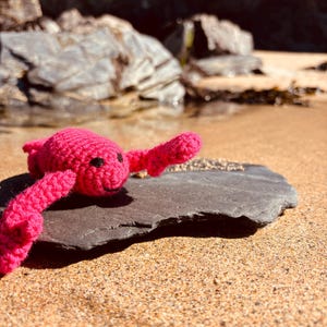Può includere: Un granchio all'uncinetto rosa brillante fatto a mano, con occhi neri e un viso sorridente, è appoggiato su una pietra grigio scuro. Il granchio è su una spiaggia sabbiosa con rocce e acqua sullo sfondo. Le zampe del granchio sono distese.
