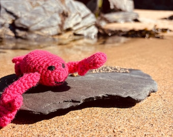 Lola der Hummer – handgehäkeltes Meerestierchen | Küstendekor Geschenk | Treib & Loop Devon