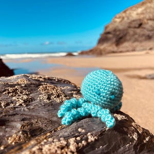 Può includere: Un polpo turchese all'uncinetto è appoggiato su una roccia erosa sulla spiaggia. Il polpo ha una testa rotonda e otto tentacoli arricciati. Lo sfondo mostra una spiaggia sabbiosa, il mare e un cielo blu.