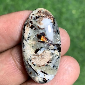 Puede incluir: Gema de forma ovalada con superficie pulida. La piedra presenta una mezcla de colores, incluyendo blanco, marrón, negro y toques de naranja. La gema se sostiene en una mano, con un fondo verde borroso.