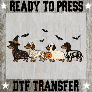 May include: A DTF transfer sheet featuring four dachshunds in Halloween costumes: a witch with a star-patterned cape, a mummy wrapped in bandages, a ghost holding a jack-o'-lantern bucket, and a skeleton. Black bats fly above the dogs.