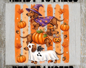 Striped Halloween Dachshund DTF Ready to Press, Spooky Dog Lover Heat Transfer- Fall Pumpkin