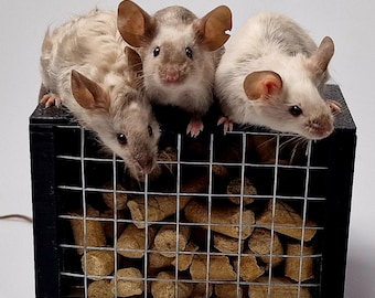 BEBOK Designs: Magnetic Lid Rodent Feeder - 3D Printed Pellet Dispenser with Metal Grid - Clean & Controlled Feeding
