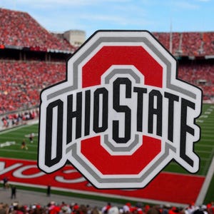 Ohio State Buckeyes 3D Printed Display Sign – Fan Cave, Desk, or Shelf Decor