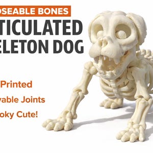 May include: A 3D-printed, articulated skeleton dog with movable joints. The off-white canine skeleton is posed on all fours, with the text "POSEABLE BONES ARTICULATED SKELETON DOG" in the background. The text also includes "3D Printed", "Movable Joints", and "Spooky Cute!"