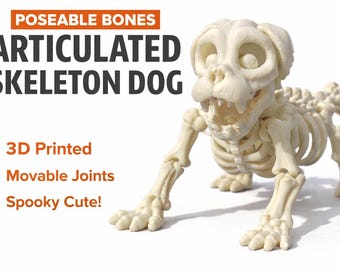 Articulated Skeleton Dog – 3D Printed Poseable Figure