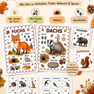 May include: A set of educational flashcards titled Lernkarten Waldtiere featuring illustrations of forest animals like foxes, badgers, wild boars, and squirrels. Each card includes text labels, animal tracks, and icons representing behavior, diet, habitat, and footprints.