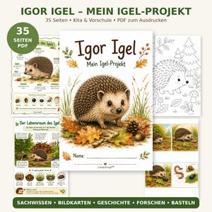 Puede incluir: Un proyecto educativo en PDF imprimible de 35 páginas titulado Igor Igel - Mein Igel-Projekt. El documento presenta ilustraciones de erizos en entornos naturales, incluyendo hojas, bellotas y piñas, junto con diagramas informativos y páginas para colorear.
