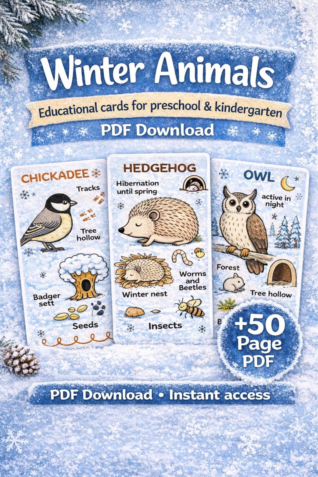 Winter Animals Learning Cards Printable | Preschool & Kindergarten ...