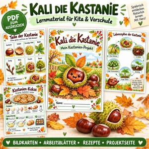 Op de afbeelding: Een verzameling educatieve printbare werkbladen getiteld Kali die Kastanie met illustraties van kastanjes, herfstbladeren, een levenscyclusdiagram en een koekjesrecept. De pagina's bevatten tekst en kleurrijke afbeeldingen.