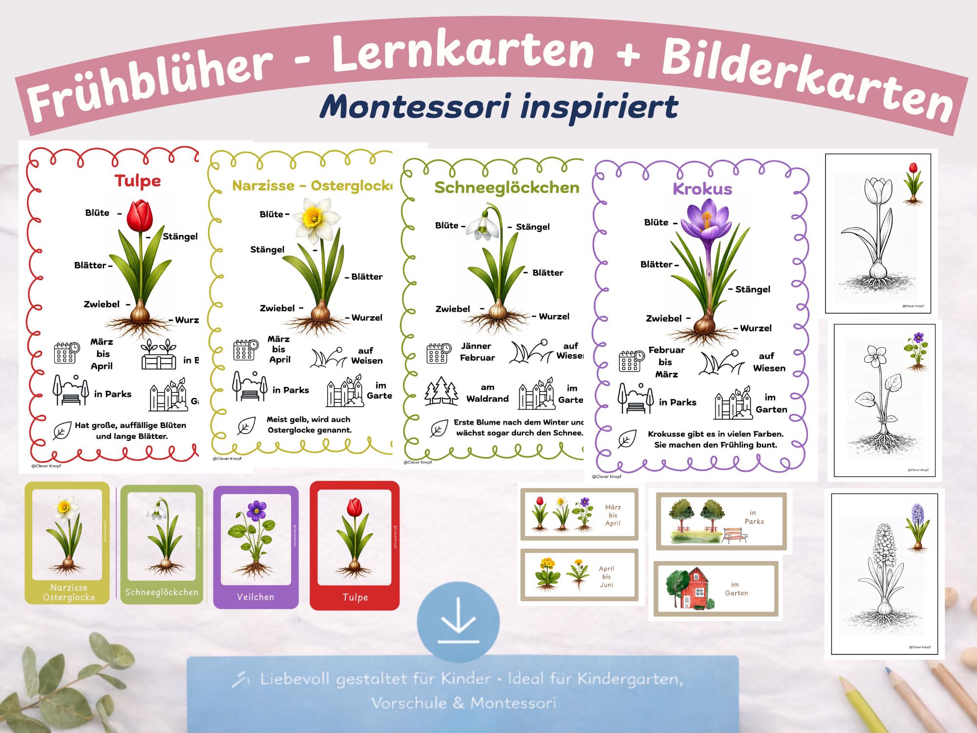 Frühblüher Arbeitsblätter Kindergarten | Frühling Lernmaterial