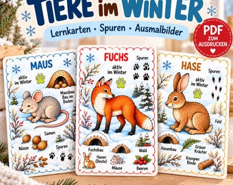 Op de afbeelding: Drie educatieve kaarten getiteld TIERE im WINTER met illustraties van een muis, een vos en een haas in besneeuwde omgevingen. Elke kaart toont dierennamen, sporen, habitats en voedselbronnen met Duitse tekstlabels en sneeuwvlokpictogrammen.