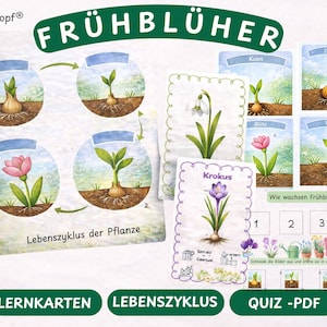 Early Flower Worksheets for Kindergarten | Spring Learning Materials for Preschool | Identifying Flowers | Nature Lessons | Printable PDF for Children