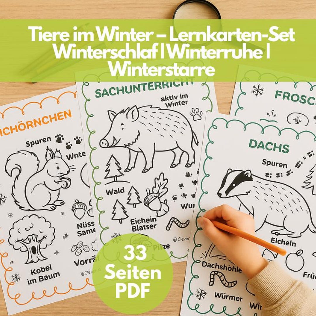 Animals in Winter | Flashcards Hibernation Winter Rest Cold Torpor ...