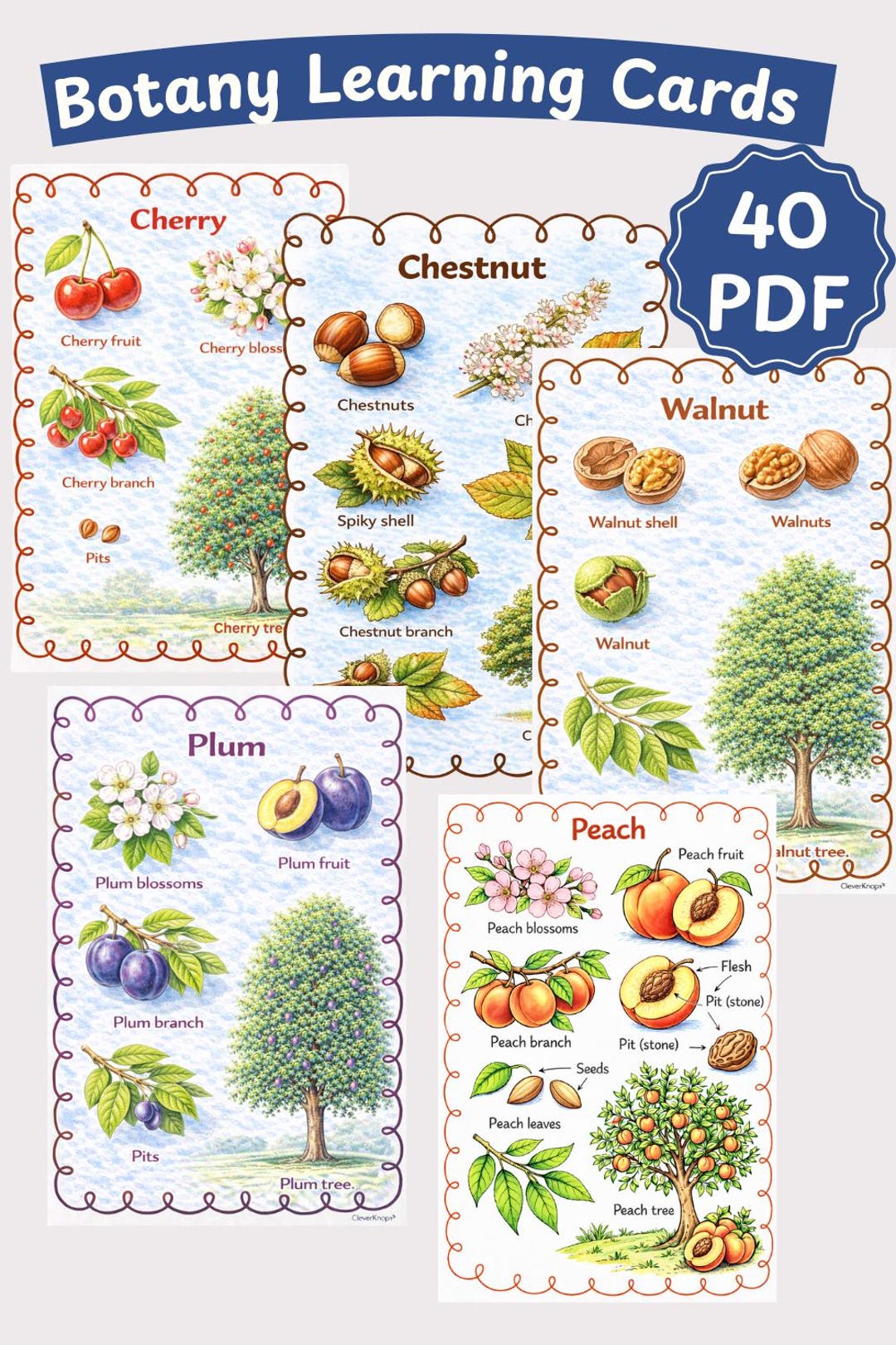Tree Card Eyfs Tree Learning Cards Printable β Montessori Tree Parts Flashcards ...