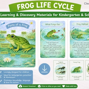 Könnte beinhalten: Lehrmaterialien für Kindergarten und Schule mit einem Diagramm des Froschlebenszyklus. Das Bild enthält Karten mit Details zu Anatomie, Ernährung und Lebensraum des Frosches, mit Illustrationen von Kaulquappen und Fröschen. Der Text enthält "Froschlebenszyklus".