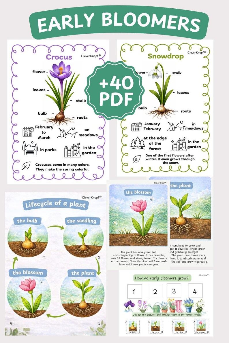 Spring First Bloomers Early Bloomers Learning Cards Montessori Printable | Spring Flower ...