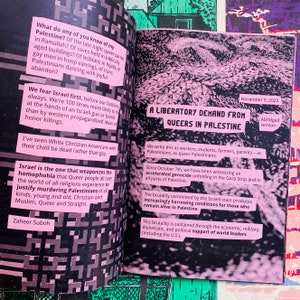 Queer Voices From the Fight for Palestinian Liberation zine LGBTQ Palestine Gaza Israel BDS feminist zine image 2