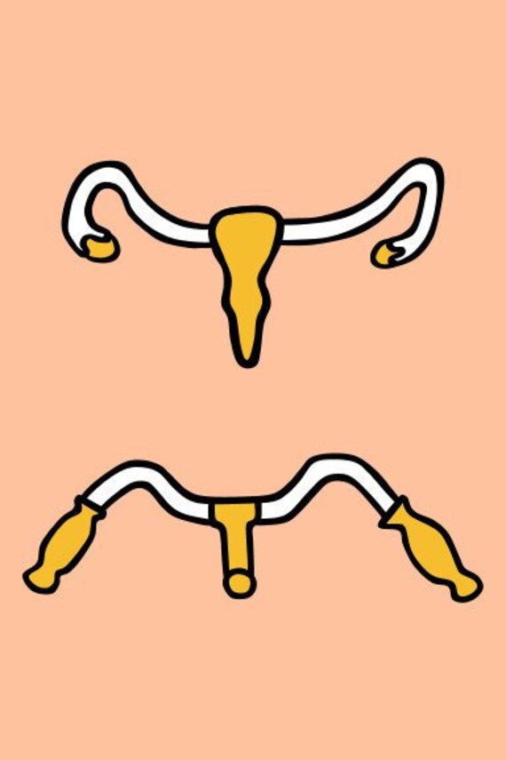 Uterus Handlebars Art Print