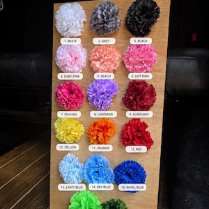 May include: A wooden display board featuring seventeen artificial carnation flowers in various colors, each labeled with a number and name. The colors include white, grey, black, baby pink, peach, hot pink, fuchsia, lavender, burgundy, yellow, orange, red, light blue, sky blue, royal blue, lime green, and forest green.