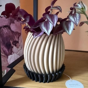 Op de afbeelding: Een beige, geribbelde keramische plantenbak met een zwarte, geschulpte basis, met een Tradescantia zebrina plant. De plant heeft paarse en zilver gestreepte bladeren. Een klein label leest "Handmade Planter & Plant."
