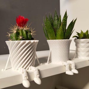 May include: Three small potted plants in white decorative pots. The first pot has a spiral design and contains a cactus with a red flower. The second pot has a textured pattern and holds a green plant. The third pot has a geometric design.
