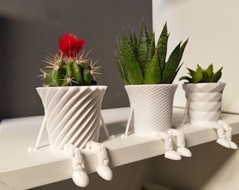 May include: Three small potted plants with white, decorative pots. The first pot has a spiral design and contains a cactus with a red flower. The second pot has a textured pattern and holds a green plant. The third pot has a geometric design.