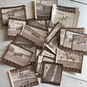 Antikes Pferd & Buggy, Dressur- und Konfirmationsrennen Fotografen-Proofs 3er Set