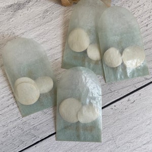 May include: Four small, translucent paper pouches, each containing two or three round, off-white objects. The pouches are arranged on a light-colored, wood-grain surface. The pouches have a rounded top.