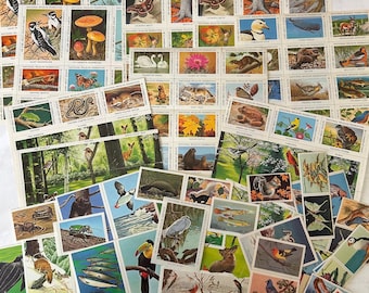 Lote de sobres con divertidos carteles de animales salvajes y marinos procedentes de la colección de un coleccionista de sellos.