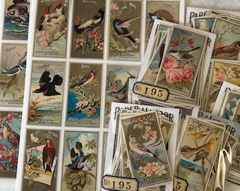 New PHC No. 195 - 1880’s Birds of America Set One by Allen and Ginter Reproduction Gummed Labels or Stickers set of 24 Images
