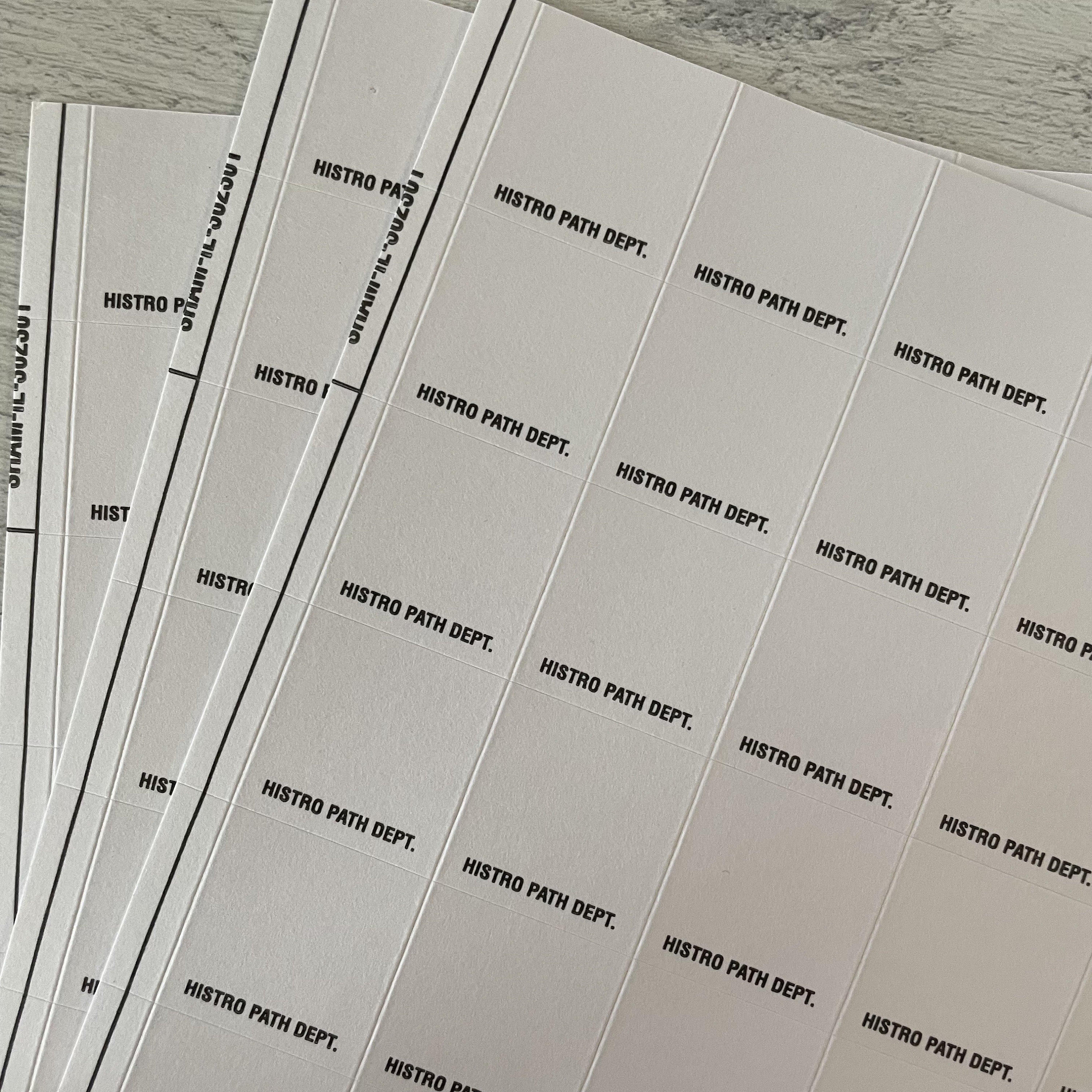 Vintage Microscope Slide Label Sticker Sheets Etsy