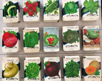 Peut inclure: Une collection de sachets de graines vintage avec des illustrations de légumes. Les sachets présentent des images de courges, de tomates, de gombos, de laitues, etc. Chaque sachet affiche le logo Lone Star Seed Co. et le prix.