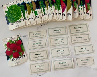 One Dozen Vintage Vegetable Labels Tucked into a Vintage Random Lone Star Seed Co Seed Packet Envelope