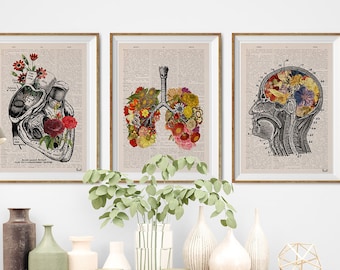 Wall decor Anatomical Art Poster - Set of 3 - Flower Anatomy - Botanical Anatomy Print - Medical Art Print - home decor - SET001