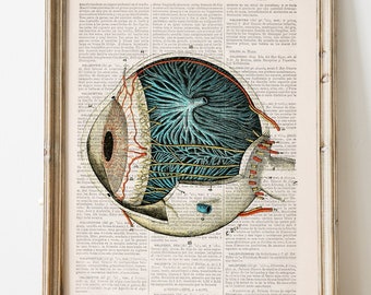 Cadeau médecin, impression d'art mural, impression d'anatomie humaine globe oculaire, art recyclé, détail des yeux, impression d'anatomie, cadeau science et geek, SKA090