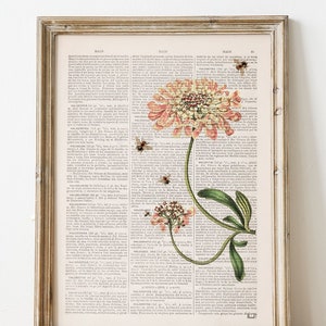 Flower wall art, Bees with Soft pink Trachelium, Housewarming Gift, Bee Wall Art, Dictionary Print, Book Page Art, Flower Book Print