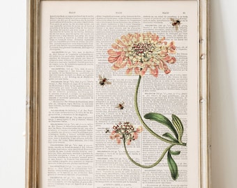 Bees & Pink Flower Dictionary Art Print: Upcycled Book Page