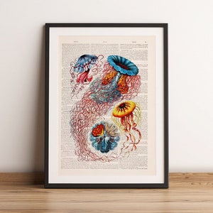 Original Art,  Jellyfish Dictionary art Print, Wall art Jellyfish III Sea shore, home decor, Jellyfish multicolored art, art print, SEA014