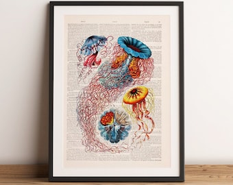 Multicolored Jellyfish Dictionary Art Print | Vibrant Sea Life Coastal Wall Decor | Oddities Ocean Gift