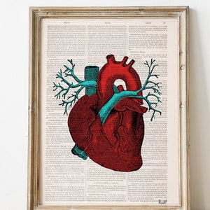 Human Anatomy art, Anatomical heart, graduation gift, Wall Art, Doctor Gift, Science gifts, Office Art, SKA05