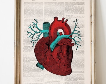Red Human Heart art, Home decor, Anatomical heart, Medicine graduation gift, Wall Art, Doctor Gift, Science student gift, Office Art, SKA057