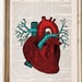 see more listings in the ANATOMY AND SCIENCE section