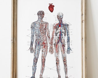 Je t'aime de tout mon coeur, affiche d'anatomie humaine, art anatomique, décoration d'art mural, cadeau médical, SKA167WA4