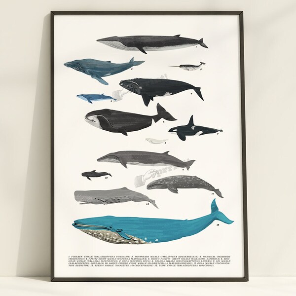 Whales Art Print - Nursery Room Decor - Sea Animal Print - Beach Decor - Kids Room Decor - SEA219WA3