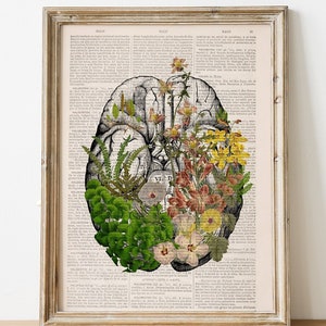 Art prints - Ferns and Flowers Brain - Anatomy Illustration - Medical Art Print - Anatomy Print - Anatomical Poster - SKA303