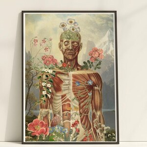 Impressão artística da anatomia do sistema muscular: pôster de ioga e fisioterapia