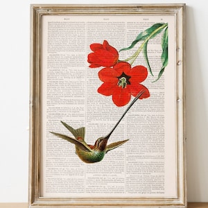 Hummingbird Wall art, Wall decor, Gift Art for Home , Nursery wall art, Prints, Bird prints, art print, ANI122 image 1