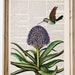 see more listings in the BOTANICAL  section