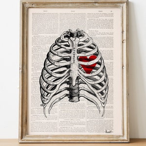Art Prints - Heart trapped in a Rib Cage - Anatomy art - Love gift - Heart art - Science student gift - Nurse gift - SKA019